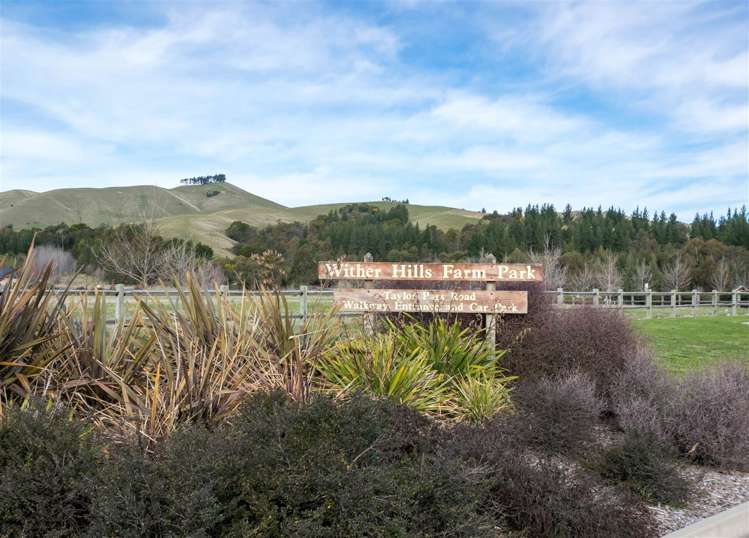 36 Whareatea Road Redwoodtown_10