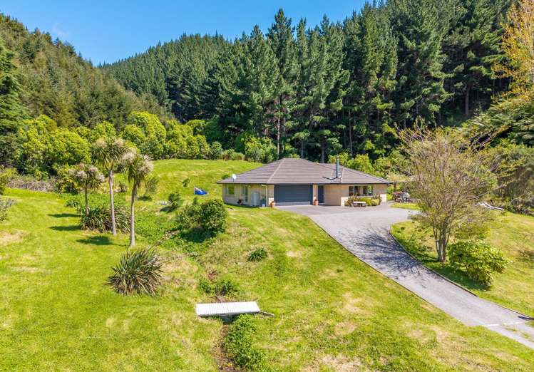 48 Eucalyptus Way Paraparaumu_4