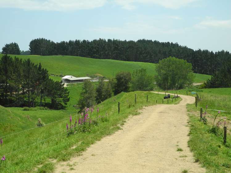 3198 State Highway 23 Raglan_13