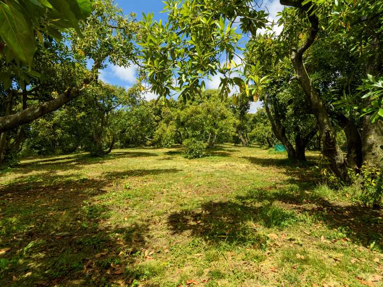 4a Ainsworth Road Wairoa_12