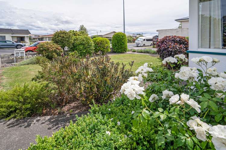 4/417 Avenue Road West Hastings Central_14