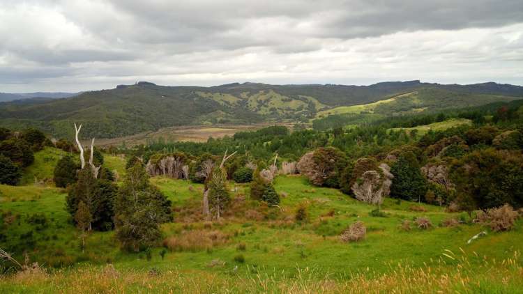 Lots 4,5,6 Taheke Road Taheke_6