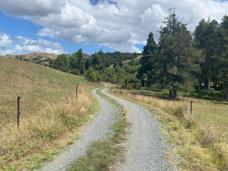 305 Waitetuna Valley Road Raglan_8