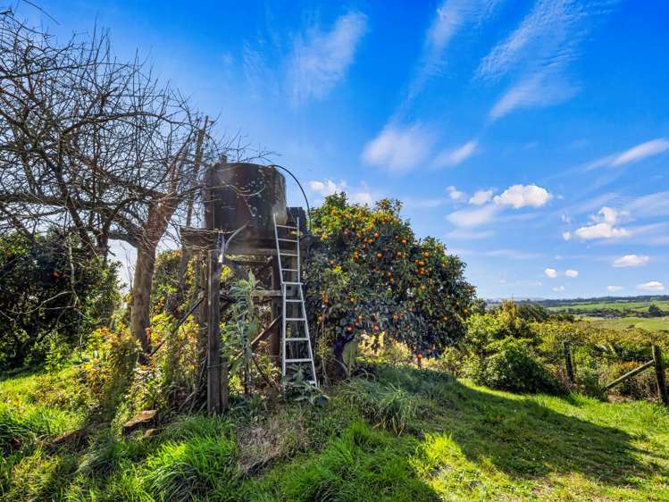 20 McLaren Falls Road Lower Kaimai_38