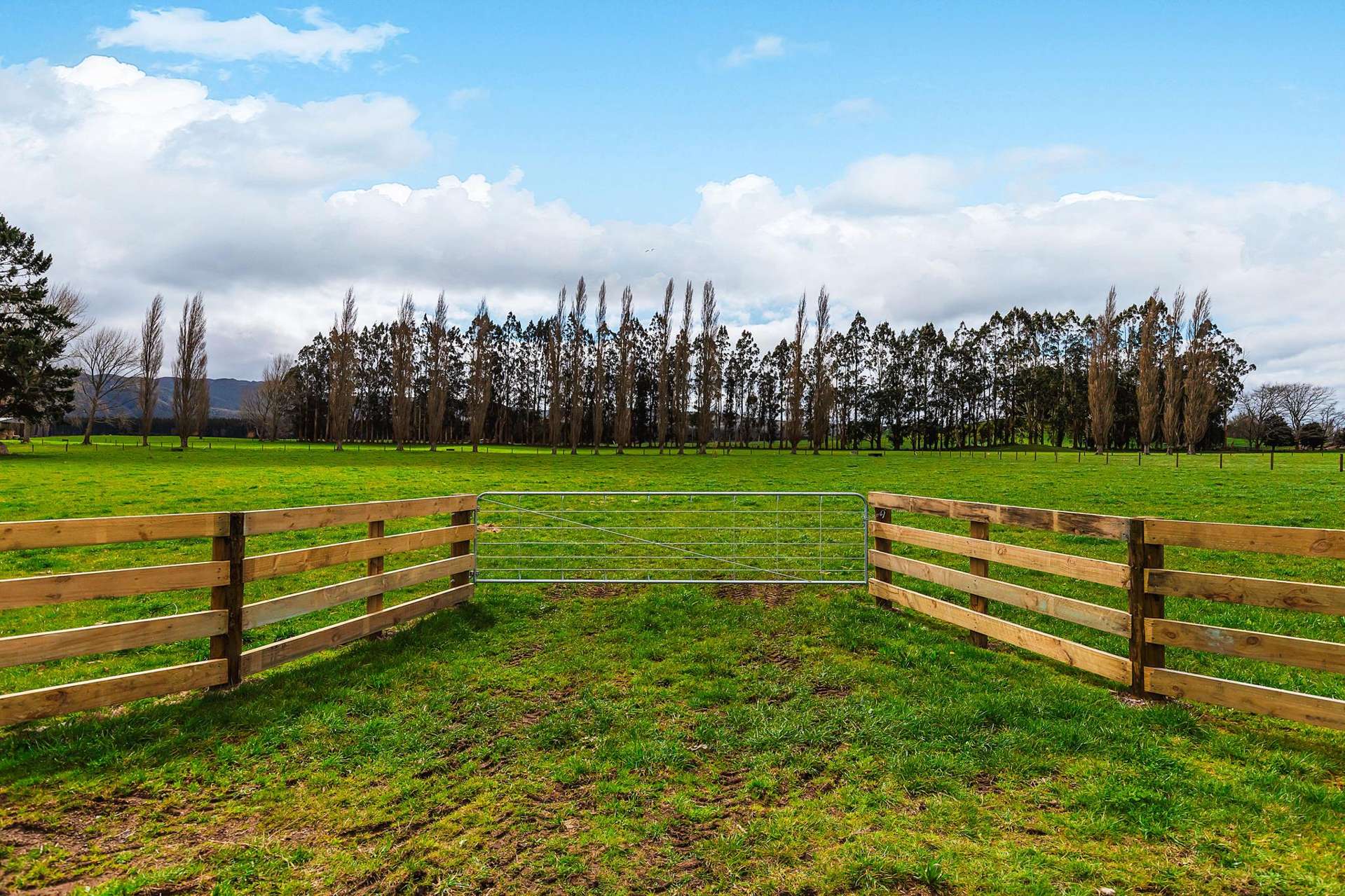 712 Ashpit Road Rerewhakaaitu_0