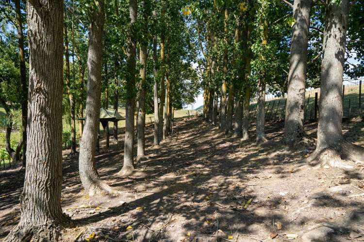 398 French Pass Road Cambridge_24