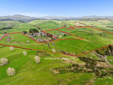 411 Pukekauri Road_1