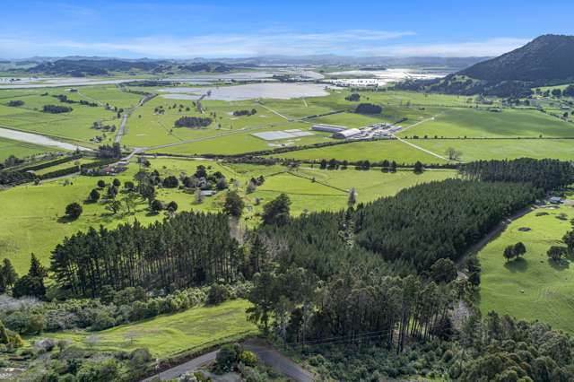 466 Apotu Road Kauri_4