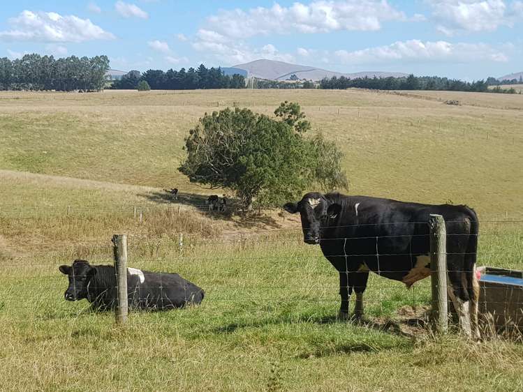 259 Baverstock Road Clinton and Surrounds_2