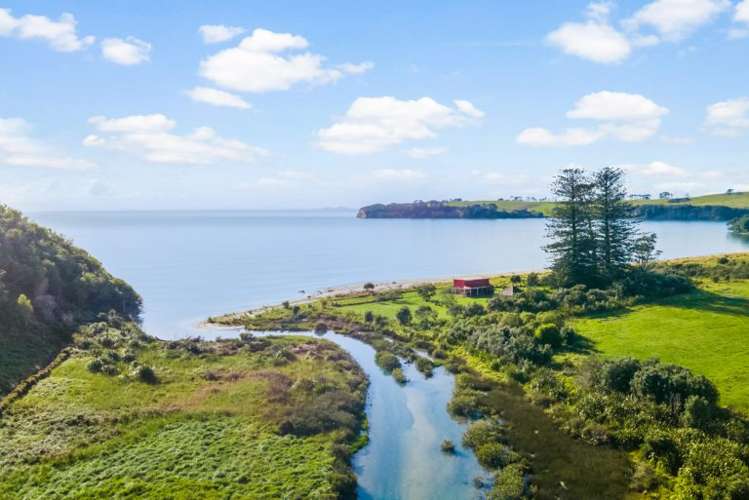 Lot 109 Weiti Bay Okura Bush_7