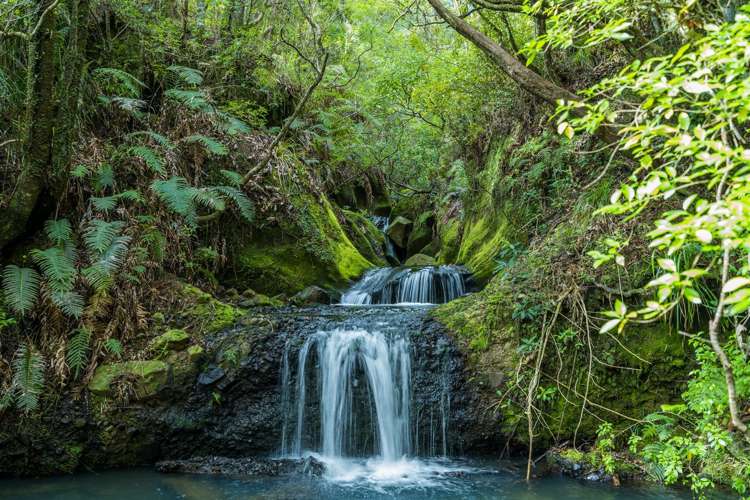 363 Mill Creek Road Kaimarama_7