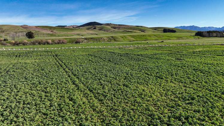 205B Dunrobin Valley Road Dunrobin_9