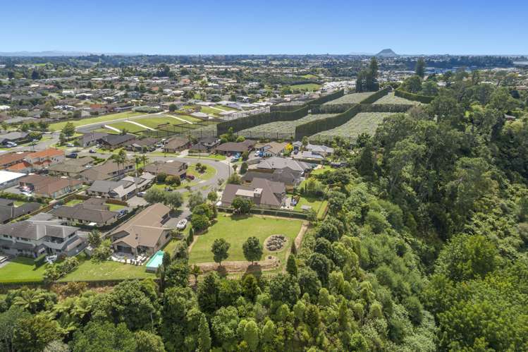 51 Garvan Glen Pyes Pa_17