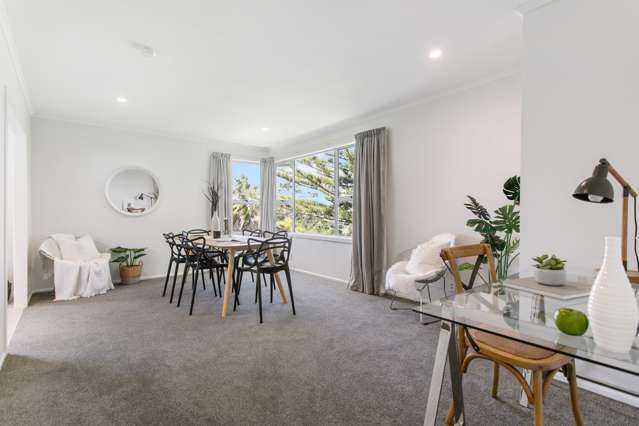 44 Japonica Drive Beach Haven_4