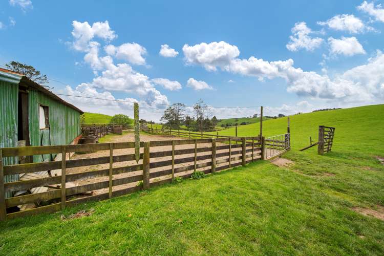 137 Lincoln Road Masterton_7