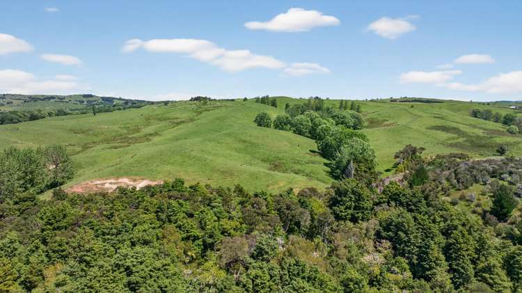 136 Ranganui Road Kaiwaka_44