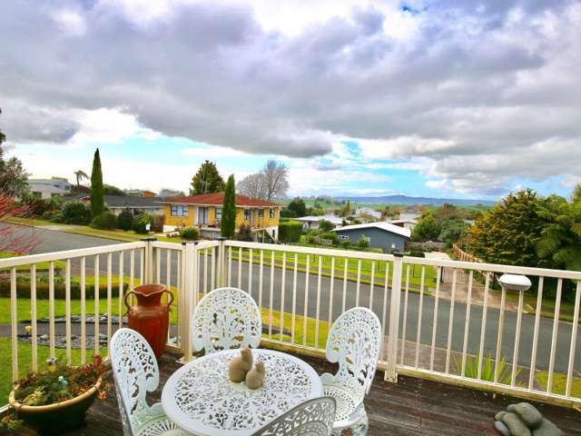 20 Hillcrest Street Tirau_4