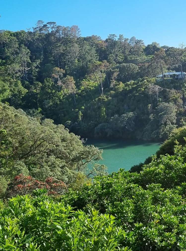 9 Ferndale Avenue Leigh_2