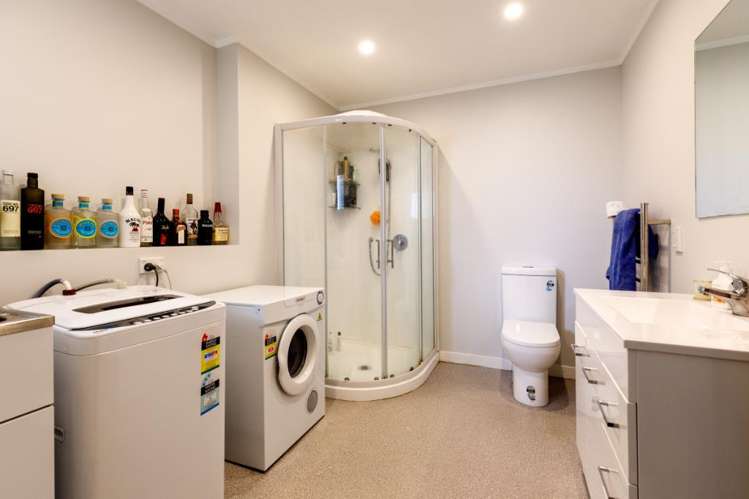 4b Macdonald Crescent Te Aro_7