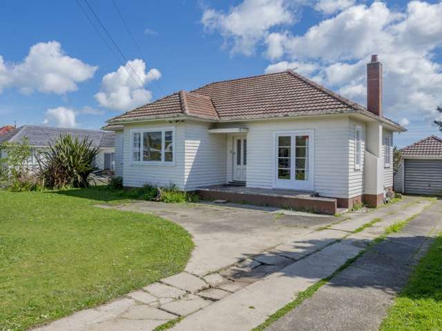 22 Mabel Street Levin_1