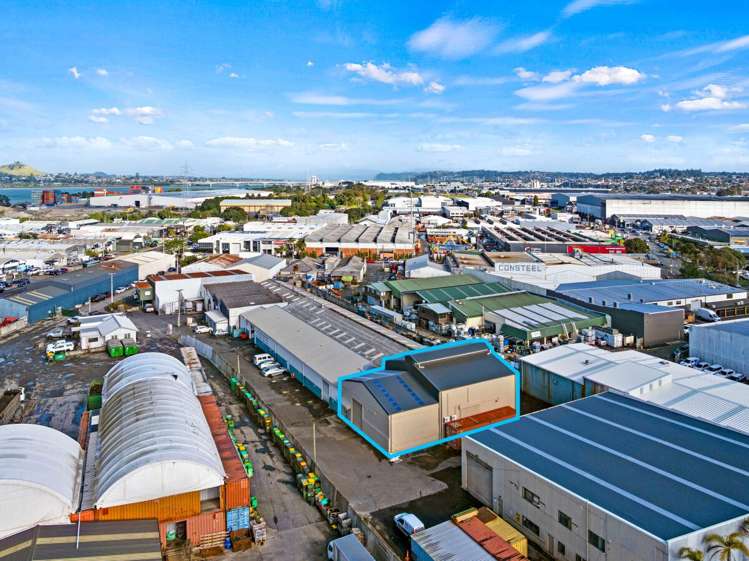 3D Edinburgh Street Onehunga_5