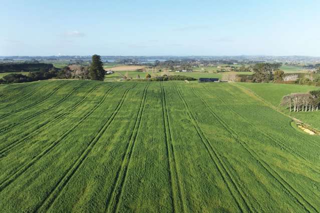 Crop, lifestyle, glasshouse - you choose