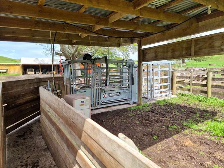 44 Wallace Road Temple View_11