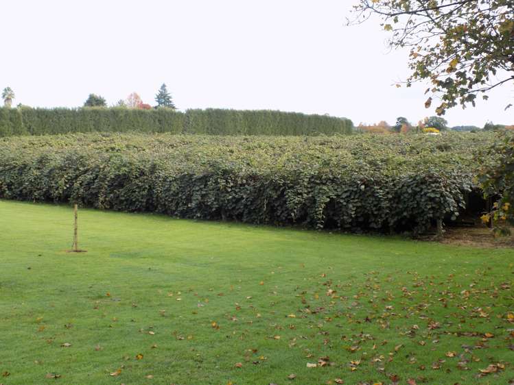 36 Echo Valley Way Tauriko_10