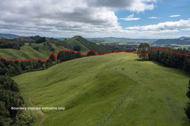 2603 State Highway 41 Kuratau_2