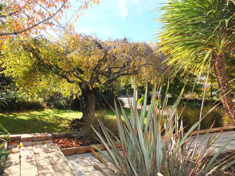 14 Kiwi Drive Highfield_18