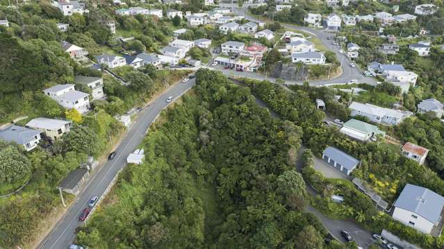 72 Farnham Street Mornington_2