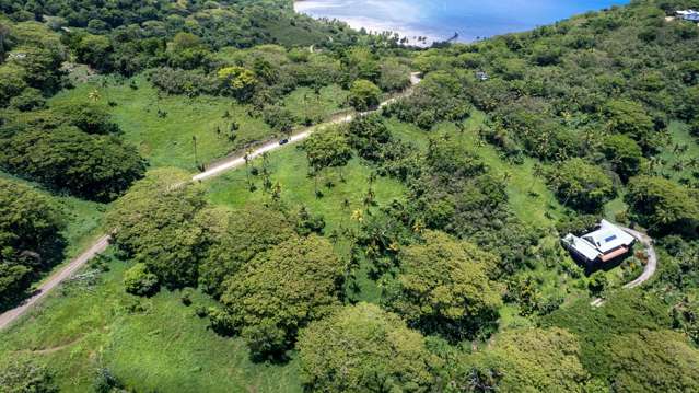 Address withheld Koro Island_4
