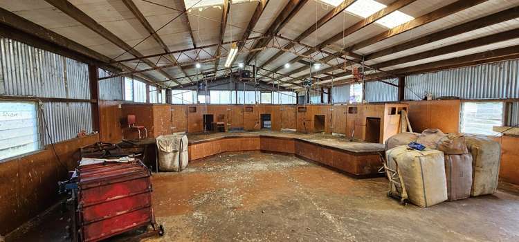 565 Bushy Park Road Waikaka_10