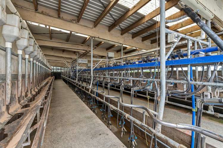 358 Opunake Road Cardiff_17