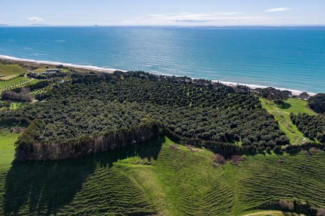 1133 Pacific Coast Highway Pikowai_2