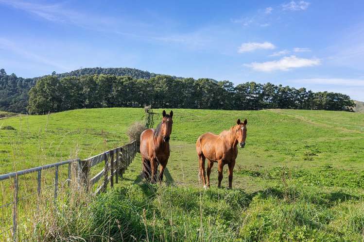 6076 State Highway 26 Paeroa_16