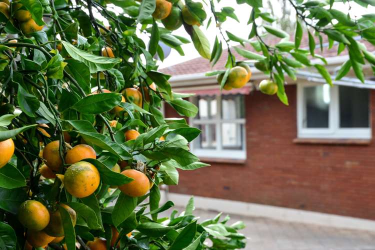 250 Ohaupo Road Glenview_14