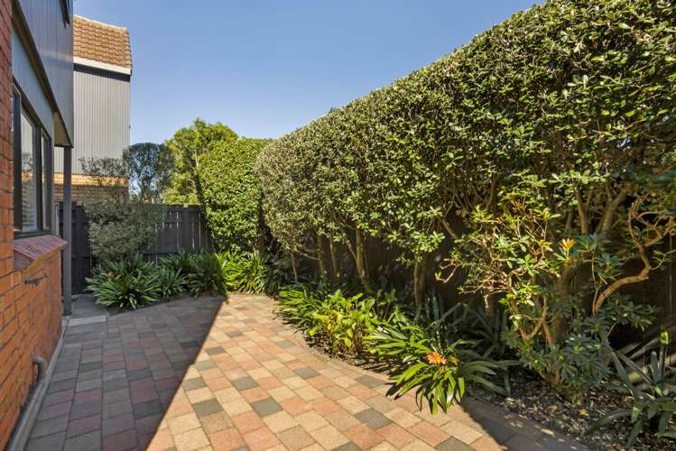 3 Balmer Lane Mount Eden_19