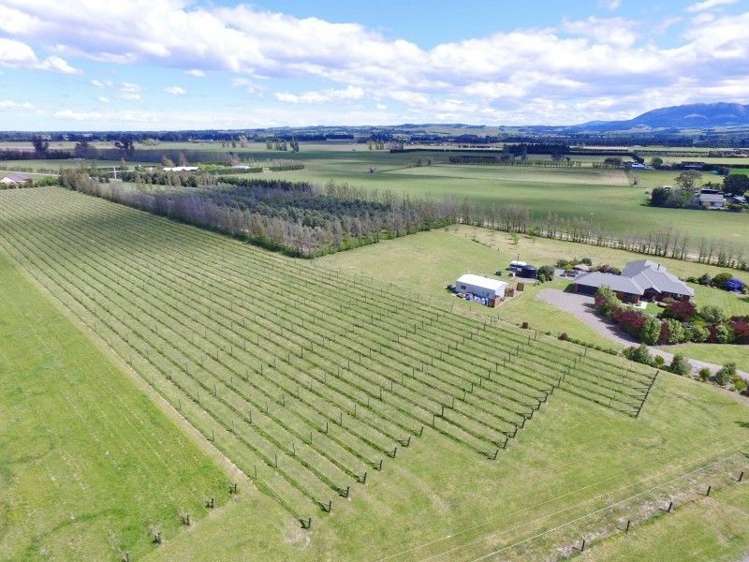 33 Innes Road Amberley_17