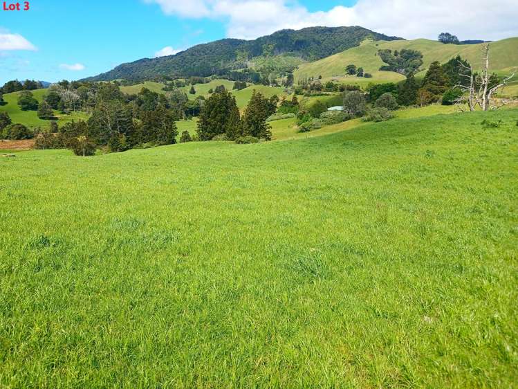 Lots 1,3,4 Te Rore Road Kaitaia_11