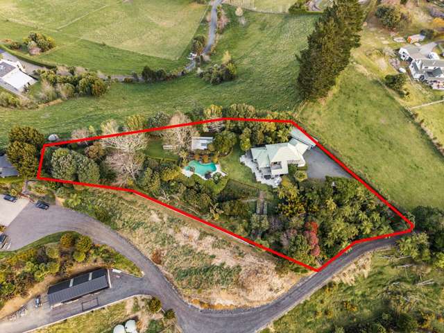 439A Wainui South Road Whakamarama_2
