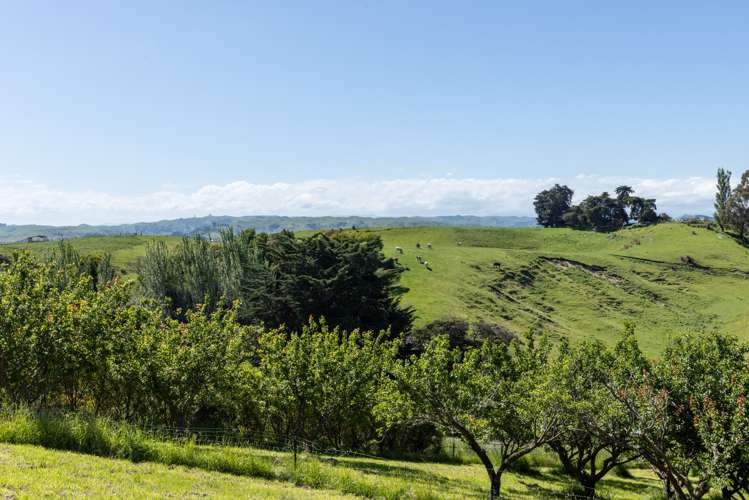 Lot 2/226 Puketitiri Road Poraiti_8