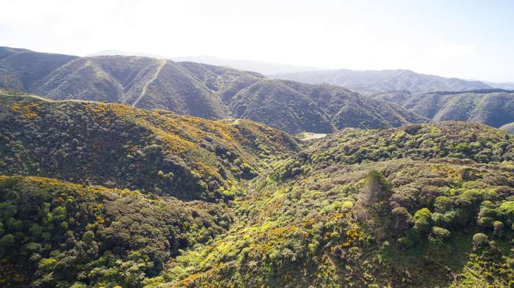 328 Hawkins Hill Road Brooklyn_7