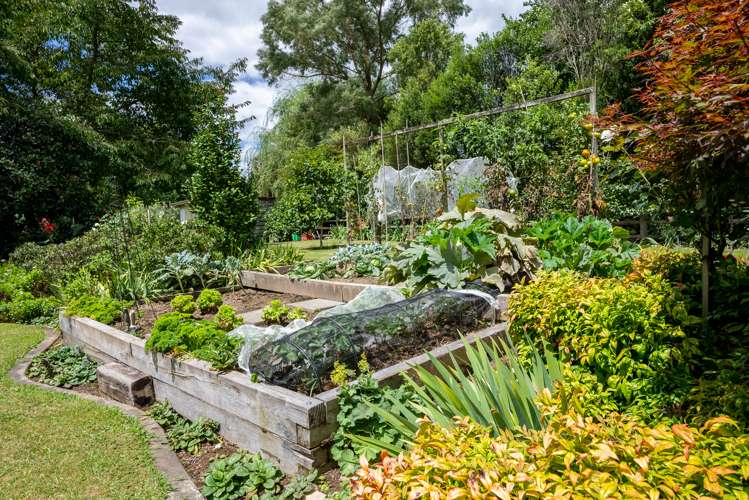 26 Meadowgreen Drive Tamahere_37