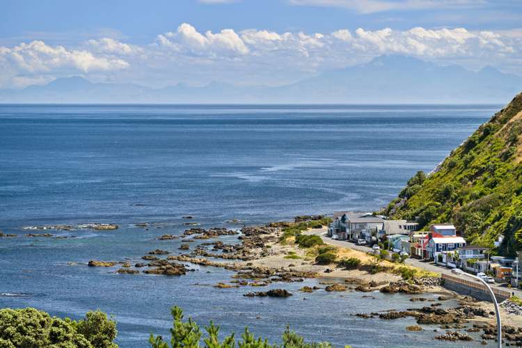 11 Frobisher Street Island Bay_2