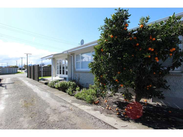 10A Budge Street Blenheim_4