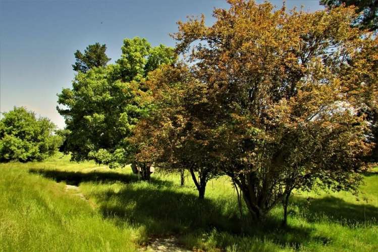 1130 Depot Road Oxford_18