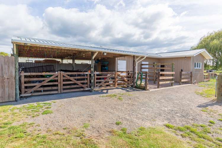 3 Front Miranda Road Waitakaruru_16