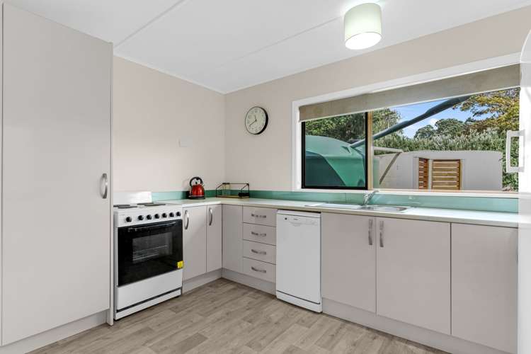 17 Shipherd Road Puni_24