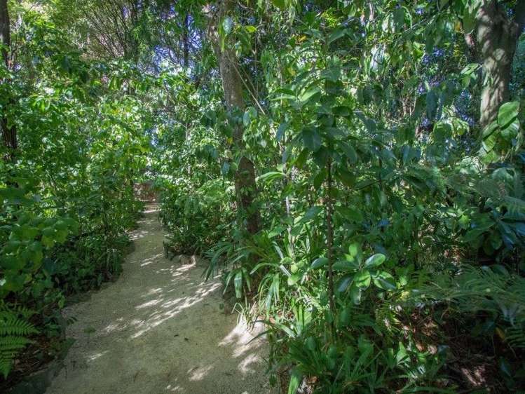 55a Manuka Street Masterton_19